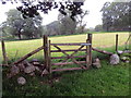 Llwybr Ceffyl ger Hen-glyn-uchaf / A bridleway near Hen-glyn-uchaf