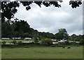 Caravans and cabins at Hawkbatch Farm