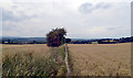 Path between Peep Green Road and Hartshead Lane, Hartshead