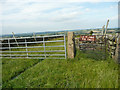 Gate on the footpath from Hartcliff Road to Cross Lane, Thurlstone