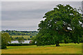 Blagdon : Grassy Field