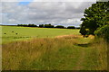 Footpath north from Four Gates, beside former railway