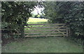 Field gate