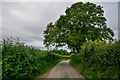 Nempnett Thrubwell : Country Lane