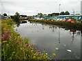 Forth and Clyde Canal, Port Dundas