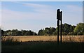 Field by the River Yare, Low Street