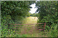 Winford : Grassy Field & Gate