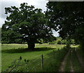 North Worcestershire Path at Folly Point