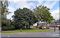 Wickham Street seen from Westfield Lane, Scholes