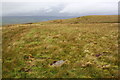 NY8105 : Moorland path near Rollinson Haggs by Roger Templeman