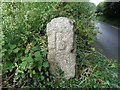 Old Boundary Marker