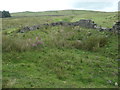 SD9722 : Ruined enclosure, near Withens Clough reservoir by Christine Johnstone