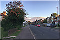 Coleridge Road on a July evening