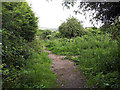 Footpath off Back Green, Churwell