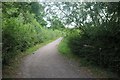 Bridle path in Sweyne Park, Rayleigh