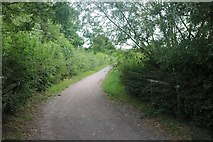 TQ8092 : Bridle path in Sweyne Park, Rayleigh by David Howard