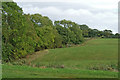 SJ6541 : Cheshire farmland east of Coxbank by Roger  D Kidd