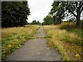 Path into Cowlairs Park