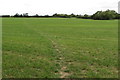 Footpath into Edgcott