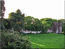 R9837 : Thomastown Castle, Tipperary (4) by Garry Dickinson
