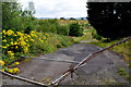 Waste ground, Gortmore, Omagh