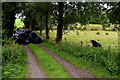 Overgrown lane, Tattraconnaghty