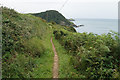 South West Coast Path near Rillage Point