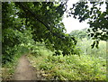 North Worcestershire Path along the River Severn