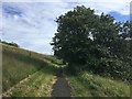 Path on the former Montague Colliery