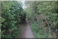 Path by Main Road, Hawkwell