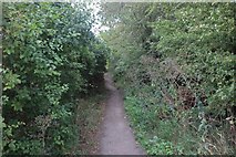 TQ8491 : Path by Main Road, Hawkwell by David Howard