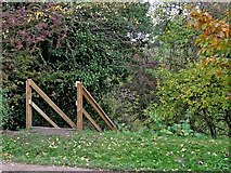 SJ6542 : Footpath and steps by Lock No 8 near Audlem by Roger  D Kidd