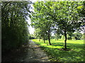 Bridleway, Hoar Cross