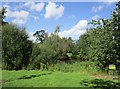 Pond at Hoar Cross