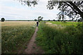 SE8139 : Path leading towards Baulker Farm by Ian S