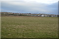 Pasture near Southwell