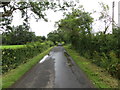 Hedge and tree-lined minor road near Gallangad Lodge