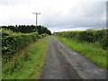 Hedge-lined minor road approaching Hillhead of Catter