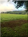 View South from the Erme-Plym Trail