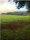 SX6251 : View South from the Erme-Plym Trail by jeff collins