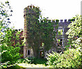 W2594 : Duarigle Castle, Millstreet, Cork (1) by Garry Dickinson