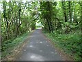 Tarka Trail with bridge over farm track