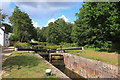 Basingstoke Canal