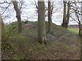 Tumulus, Besbury Lane, Churchill