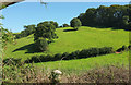 Hillside near Bowden Lodge