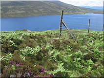 NN6765 : Deer fence corner above Loch Errochty by Chris Wimbush