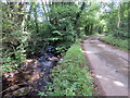 Heol a nant dienw / A road and an unnamed stream