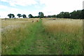 Footpath to Furlong Farm