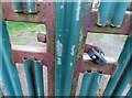 Fastenings on gate to compound on Pasture Lane