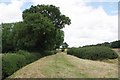 Bridleway 29 Near Beeches Wood